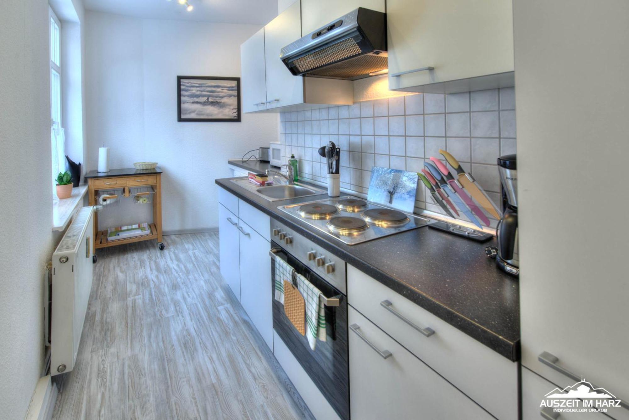 Auszeit Im Harz Haus 1 Wohnung Feuerstein Schierke Luaran gambar